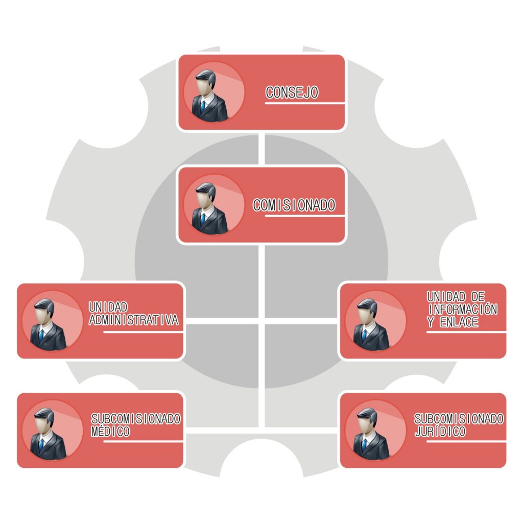 ORGANIGRAMA CAMSONORA3